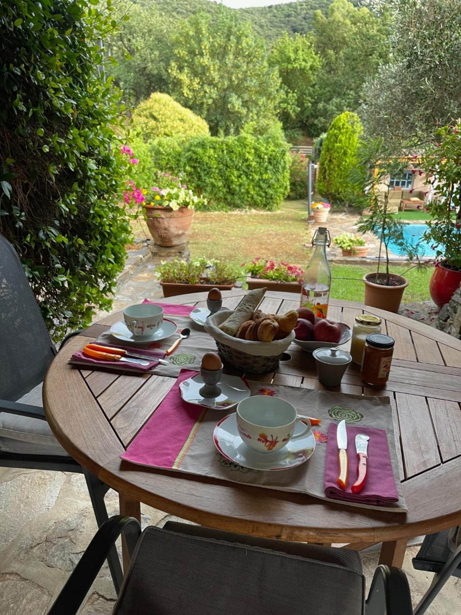 La Borreliane Bed & Breakfast Hyeres Ngoại thất bức ảnh